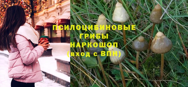 метадон Лагань