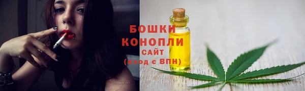 метадон Лагань