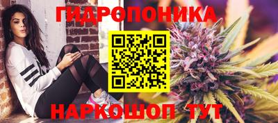 спайс Беслан