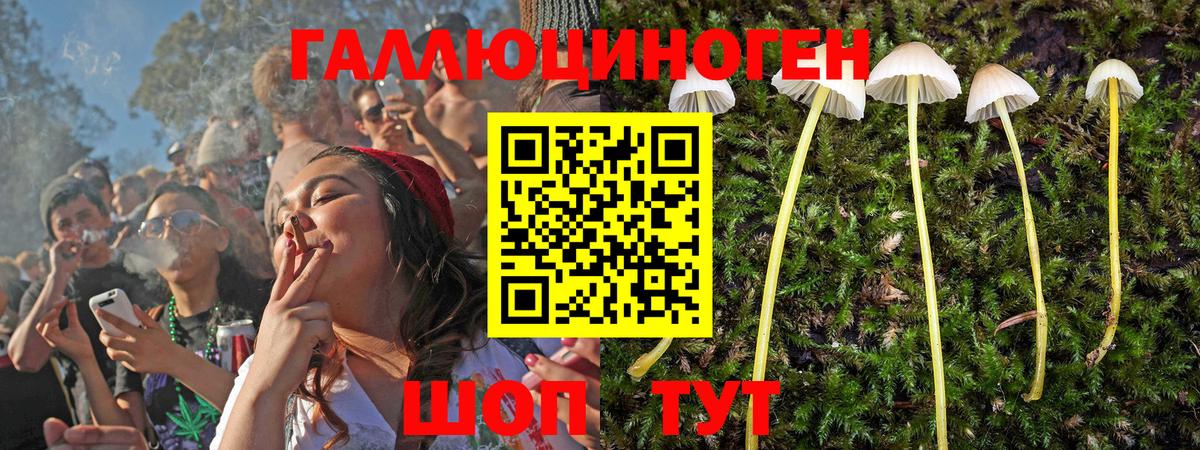 Галлюциногенные грибы GOLDEN TEACHER  Еманжелинск 